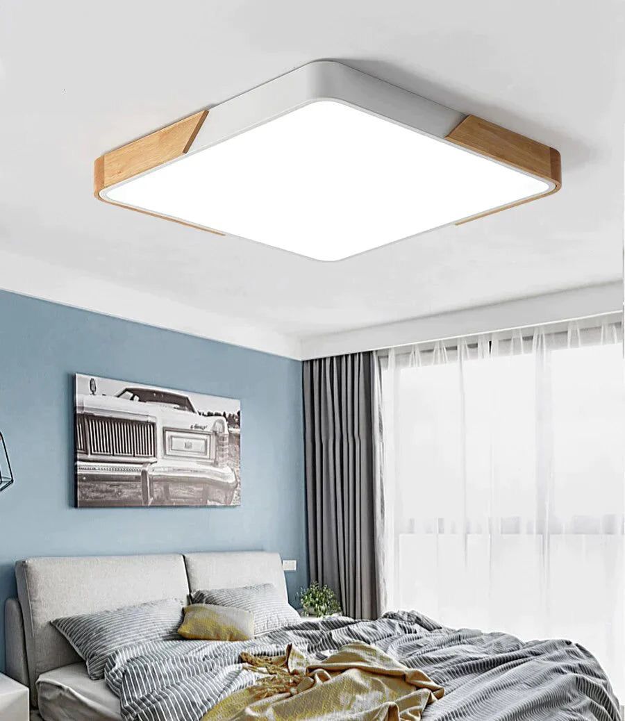 Ceiling Lamp 17